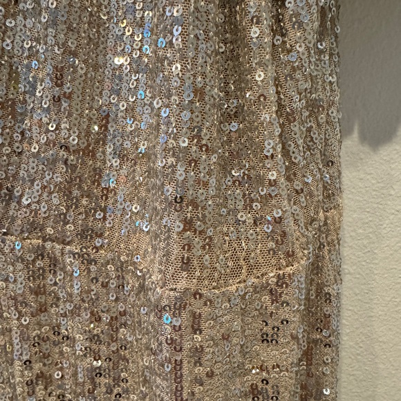 H&M Champagne with Silver Sequin Dress XXL - Picture 3 of 10
